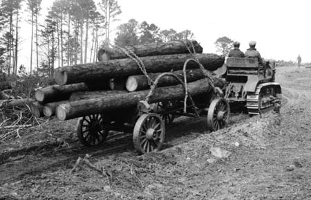 Caterpillar Tractor hauling logs near Columbia, South Carolina, June 1929