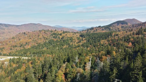 The DAR Jubilee Forest, as seen from Devil's Courthouse, Oct. 14, 2016