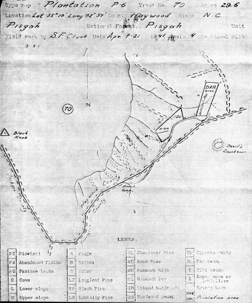 US Forest Service map of the area showing the two memorial plantations, dated April 21, 1941. Click the map to see it enlarged. 