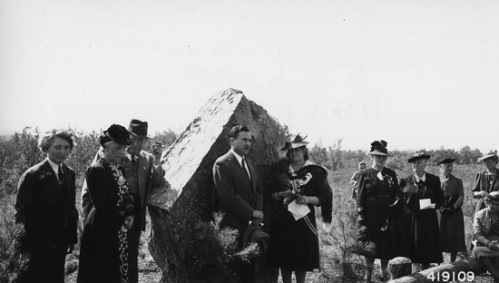 Illinois Society Daughters of the American Revolution at dedication of D.A.R. Diamond Jubilee cooperative forest plantation on the Shawnee National Forest, Illinois, 1940. It's assumed that the one in North Carolina would have used a rock of similar size. At far left is Margaret March-Mount, who launched the Penny Pines campaign. (FHS Photo Collection, R9_419109 